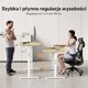 SENSE7 NOJO Light Ηλεκτρικό Γραφείο με Ρύθμιση Ύψους, Πεύκο - Μαύρο, 140x70 εκ.
